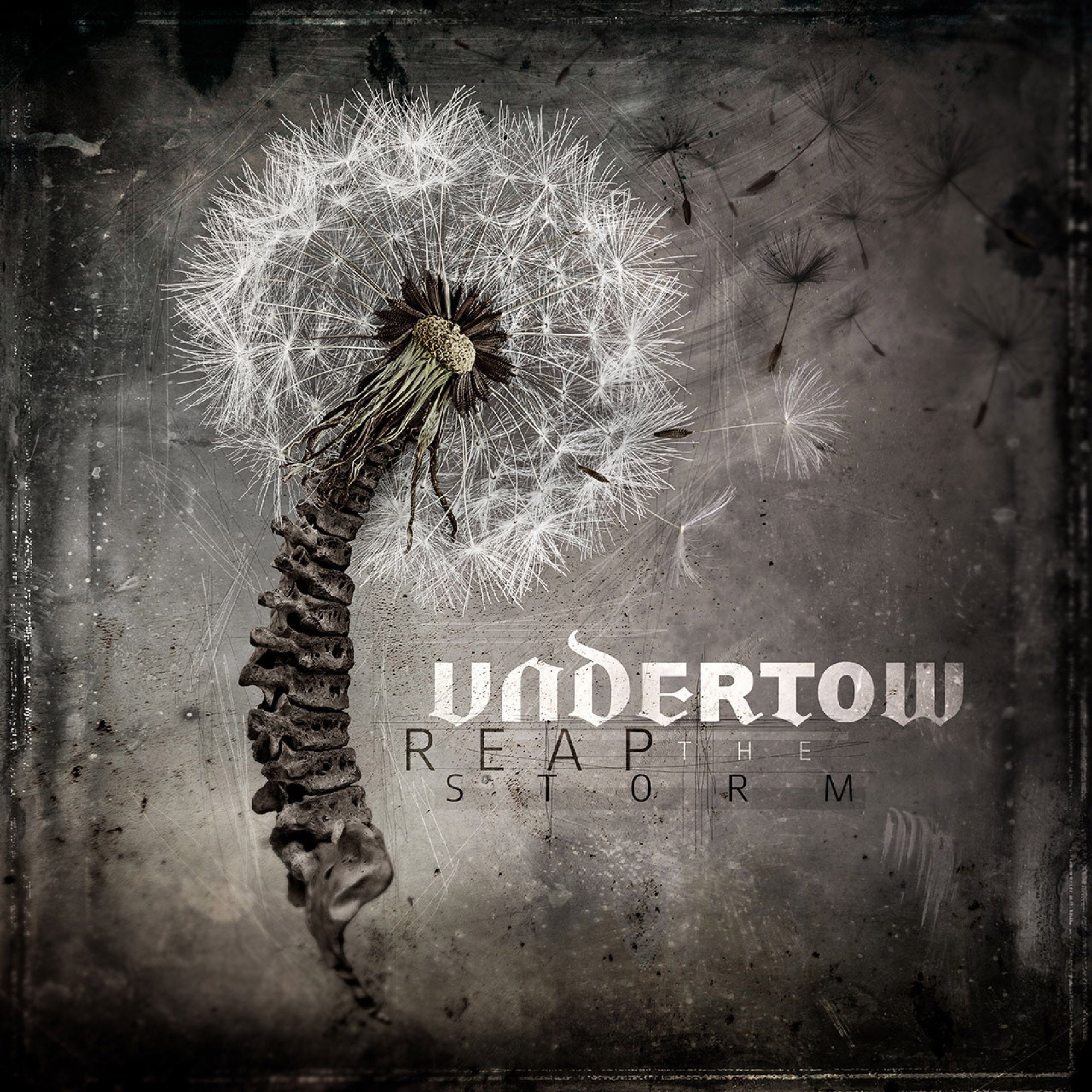 Undertow - Reap The Storm (CD)