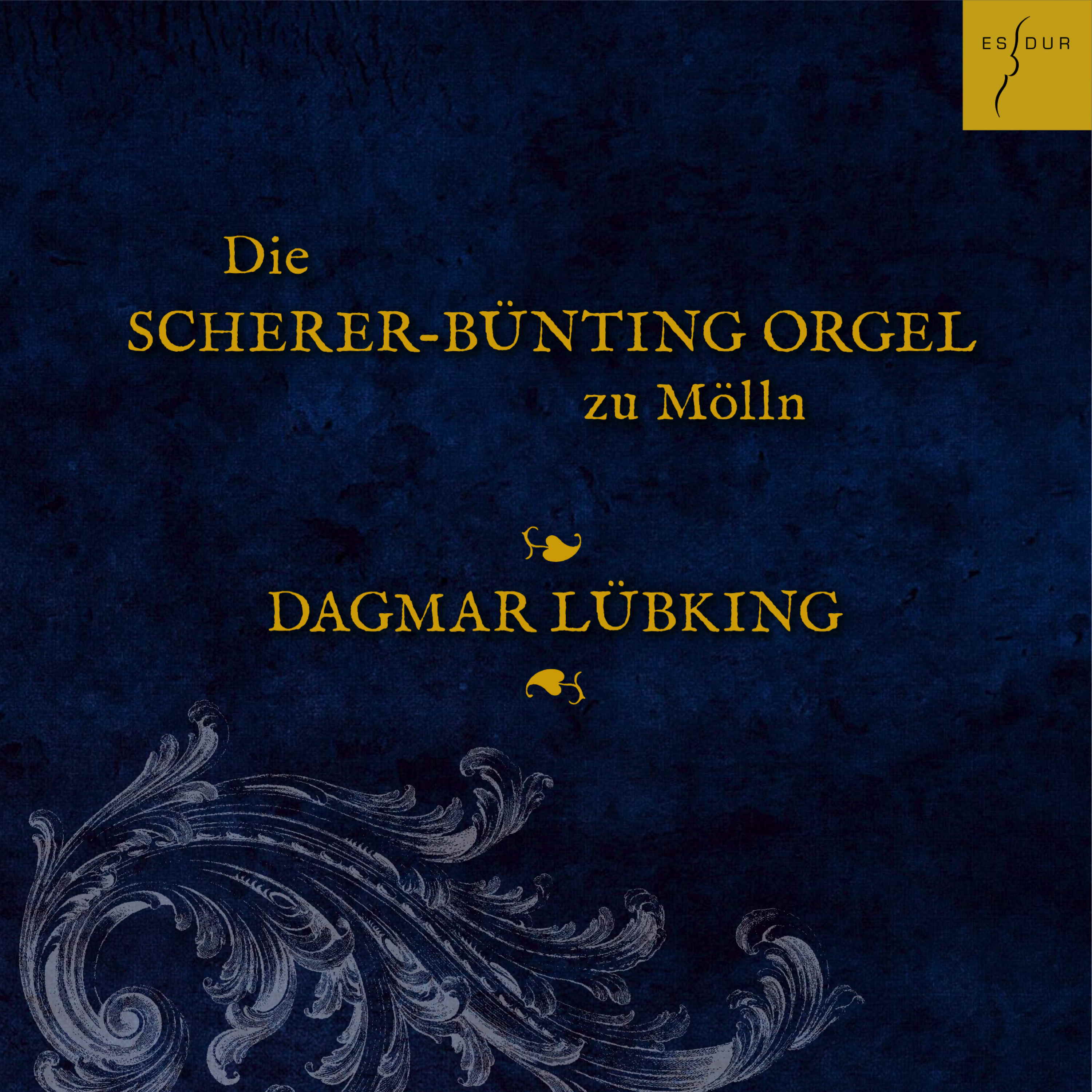Dagmar Lübking - Die Scherer-bünting-orgel In Mölln (CD)