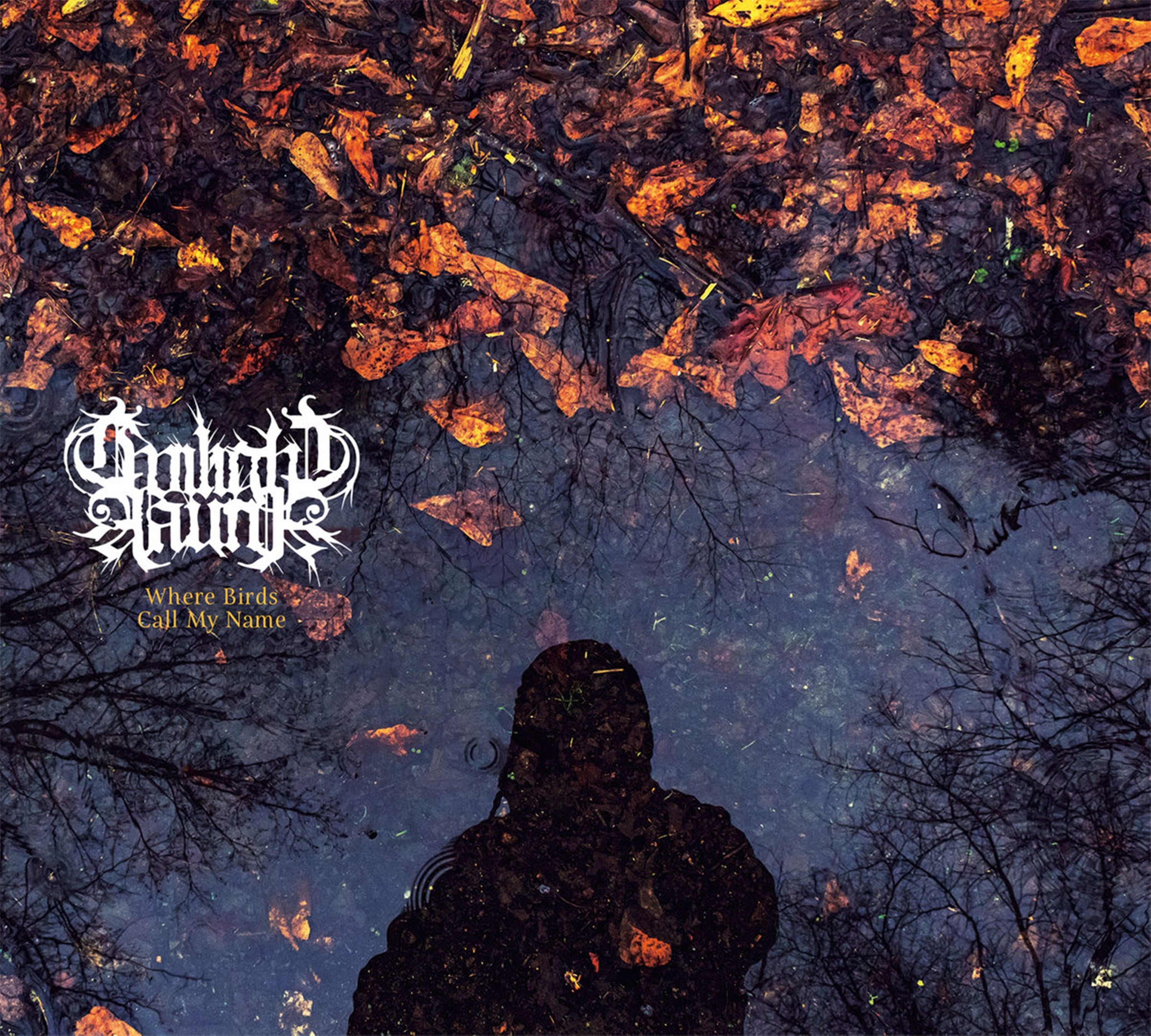 Twilight Fauna - Where Birds Sing My Name (CD)