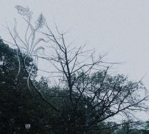 Sadness - Rain (CASSETTE)
