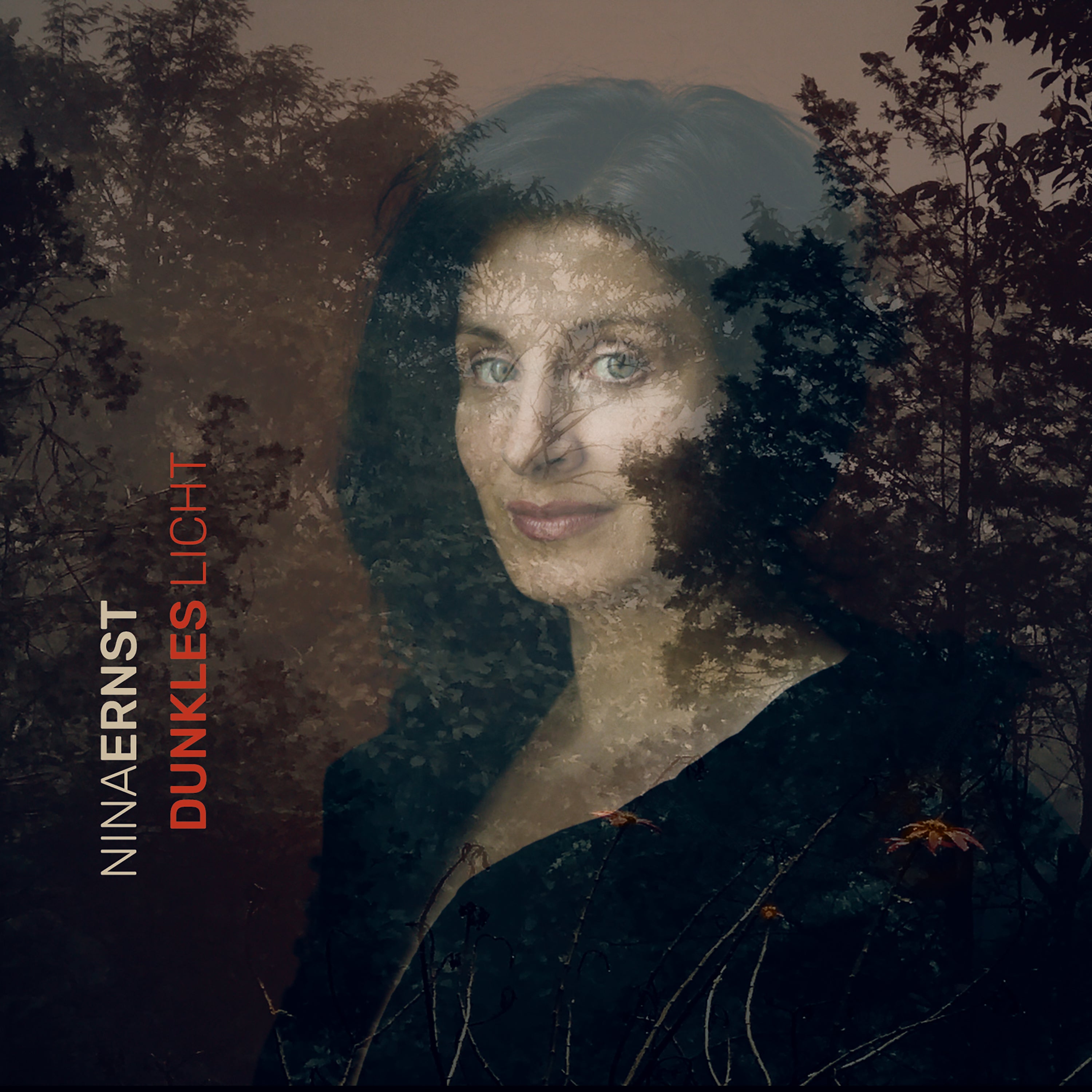 Nina Ernst - Dunkles Licht (CD)