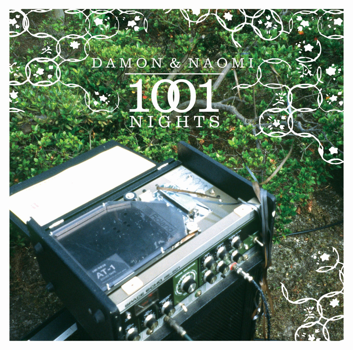 Damon and Naomi - 1001 Nights Limited Edition LP/DVD (LP)