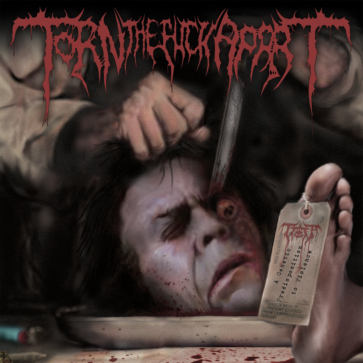 Torn The Fuck Apart - A Genetic Predisposition To Violence (CD)