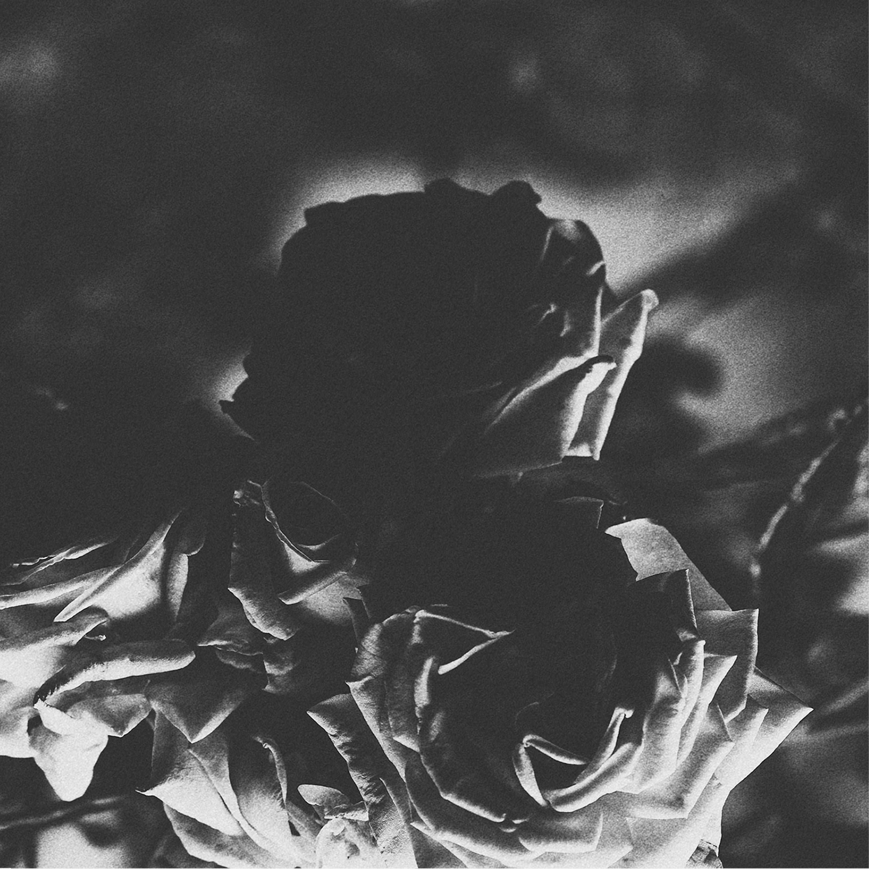 Hexis & Telos - Split (5 Inch Vinyl) (7 INCH)