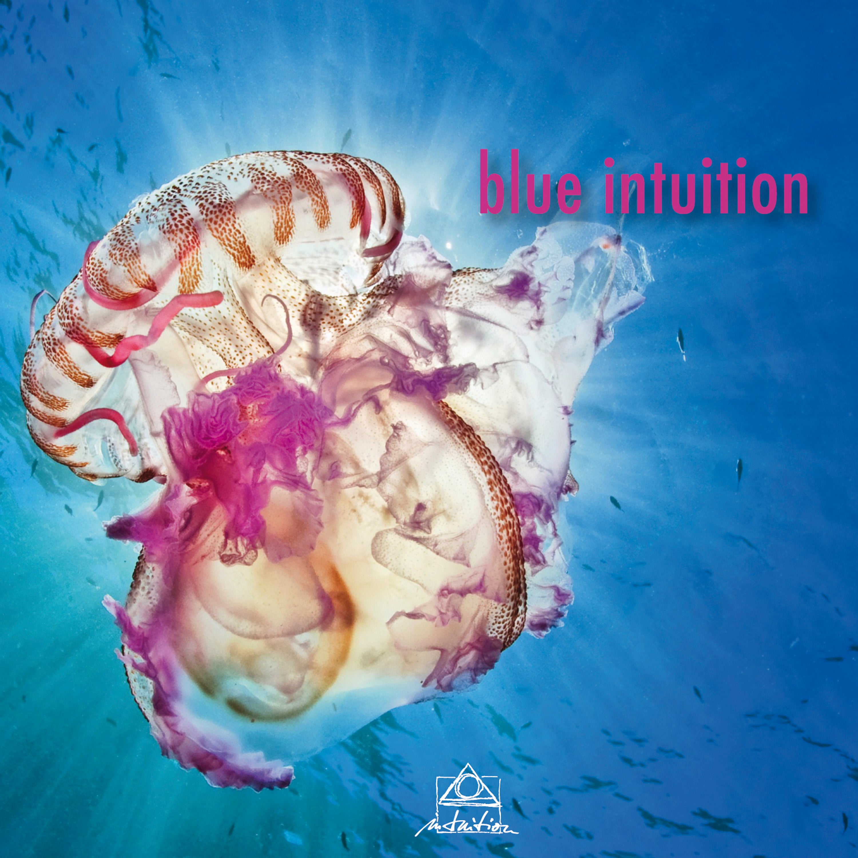 Blue Intuition (CD)