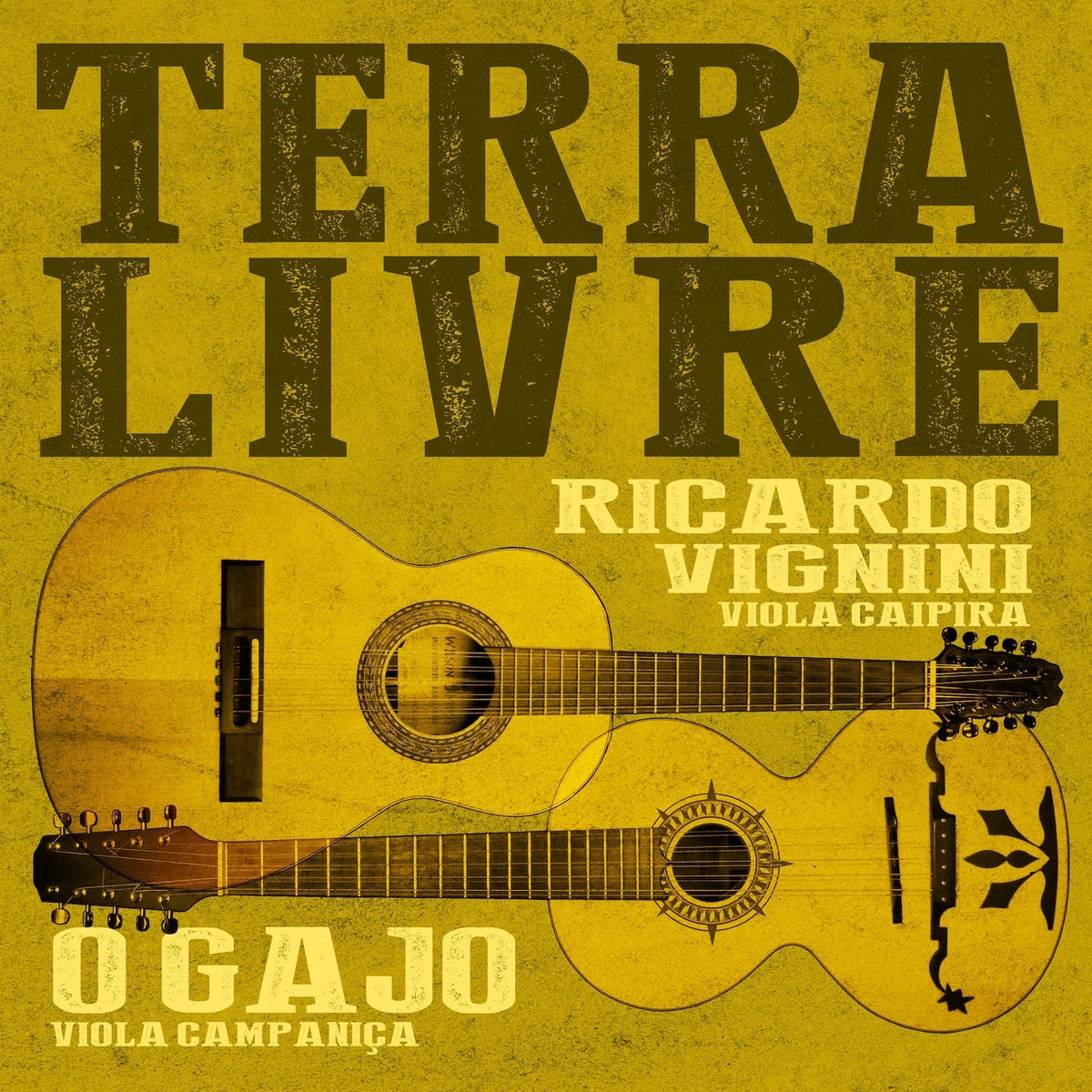 Ricardo Vignini & O GAJO - Terra Livre (LP)