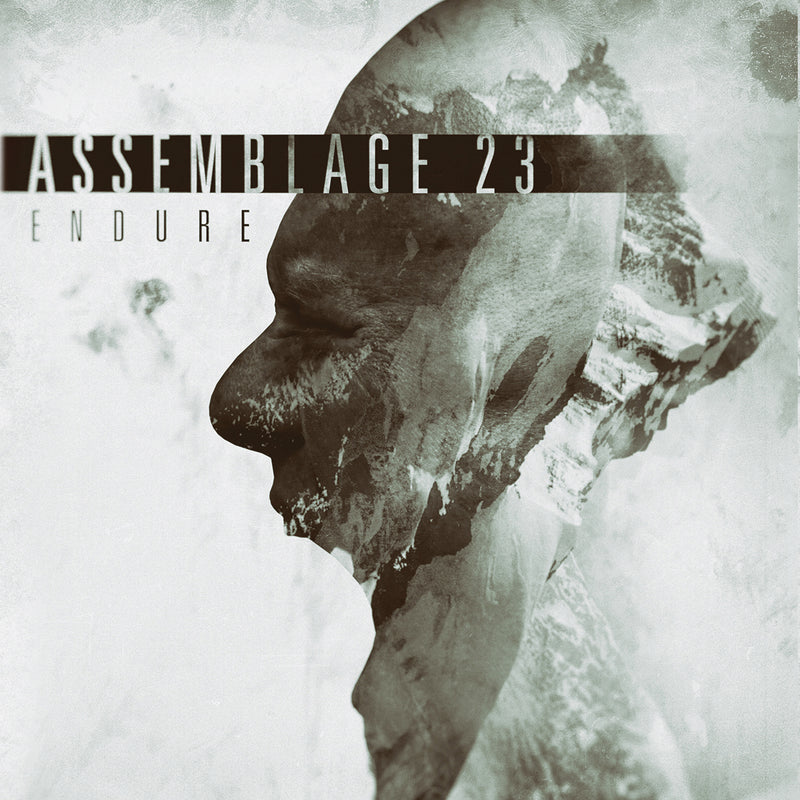 Assemblage 23 - Endure Limited Edition LP (LP)