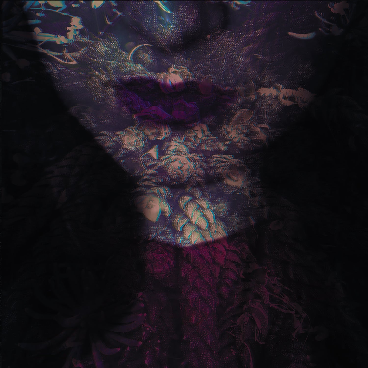 HANTE. - FIERCE (CD)