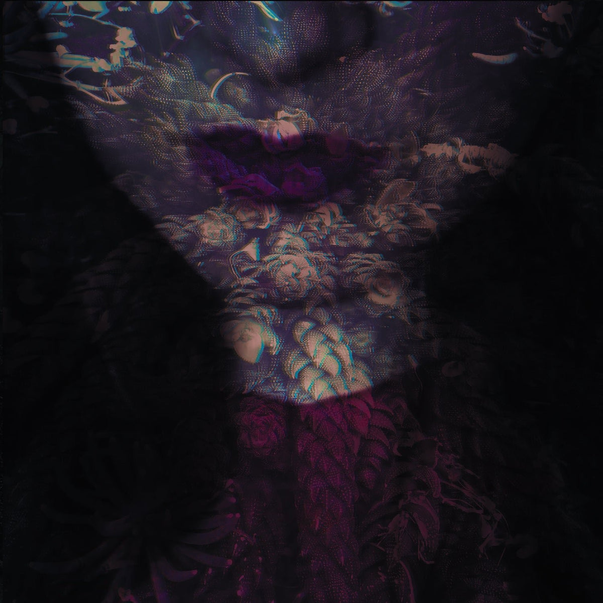 HANTE. - FIERCE (CD)