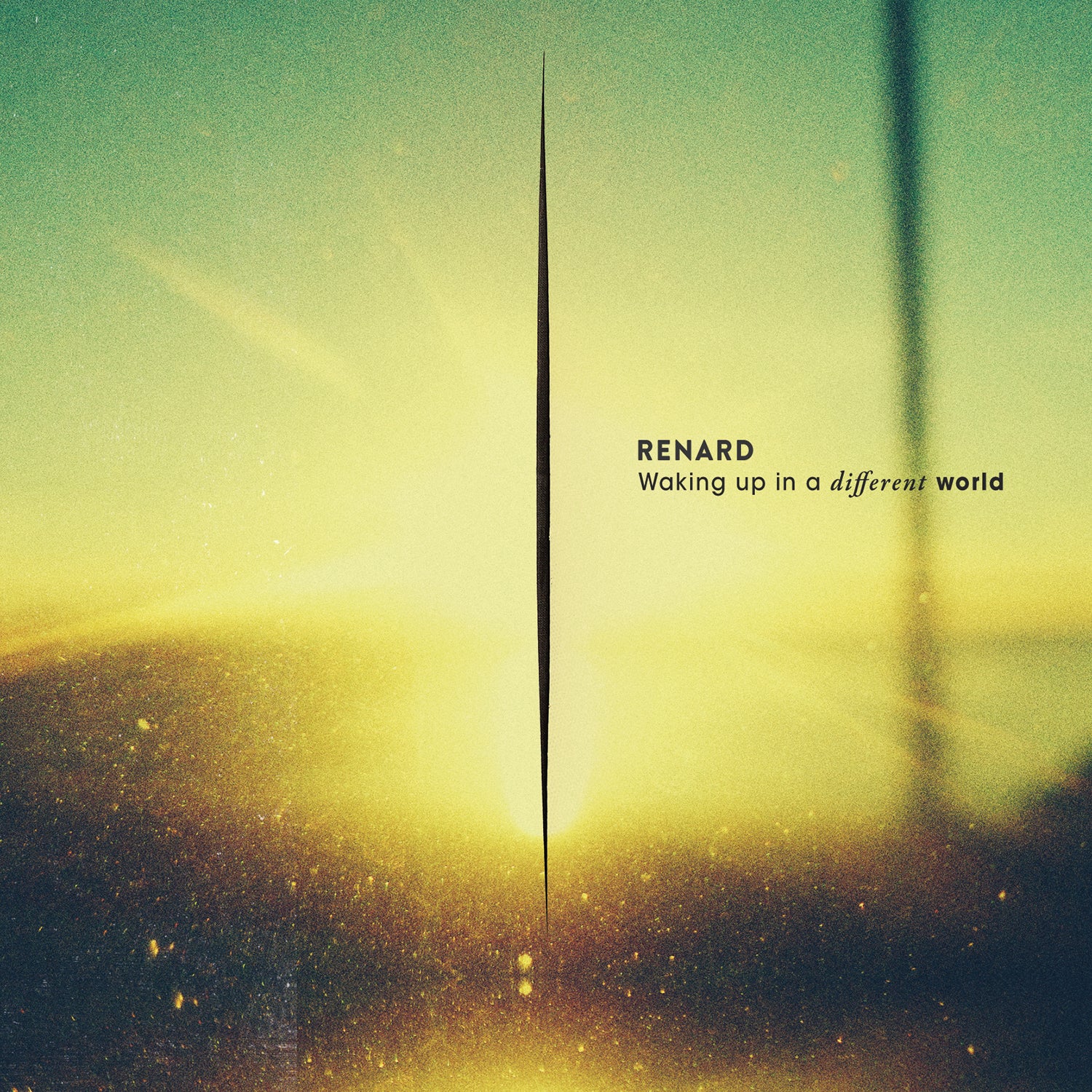 Renard - Waking Up In A Different World (CD)