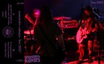 Sementales Salvajes - Live 2022 (CASSETTE)
