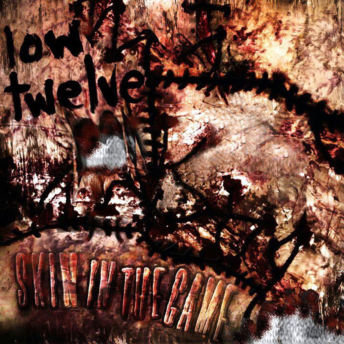 Low Twelve - Skin In The Game (CD/DVD)