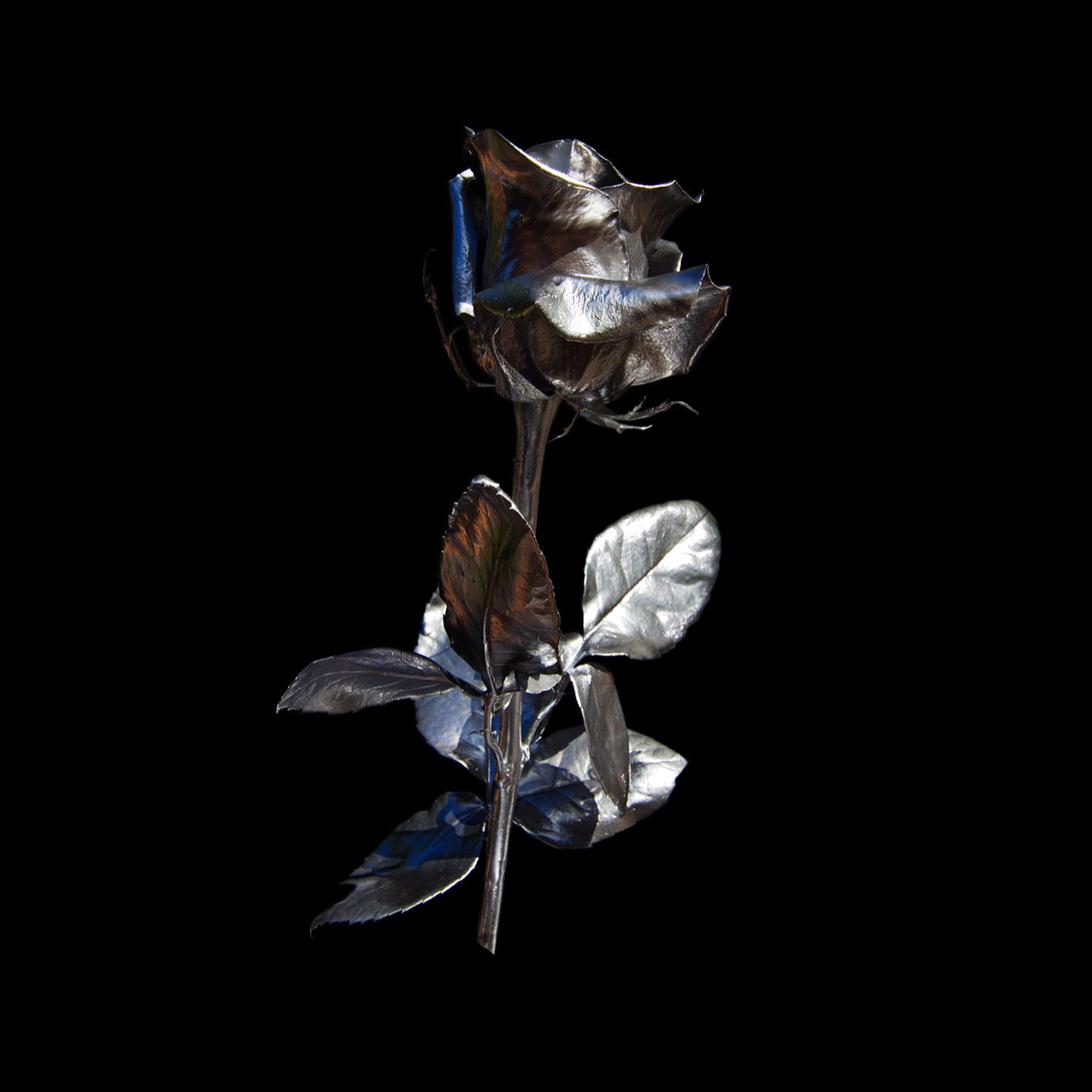 Shiny Black Anthem - Unbreakable (CD)