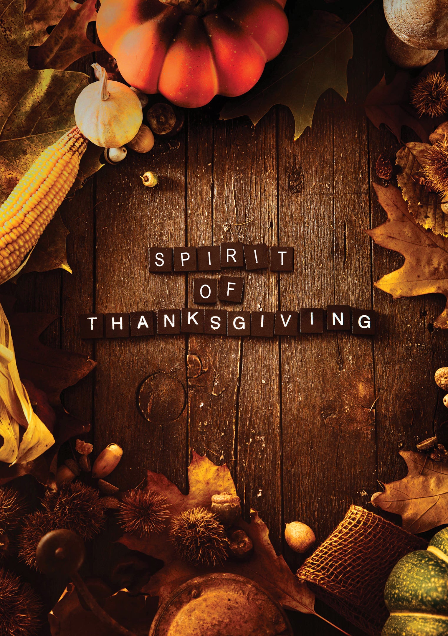 The Spirit Of Thanksgiving (DVD)