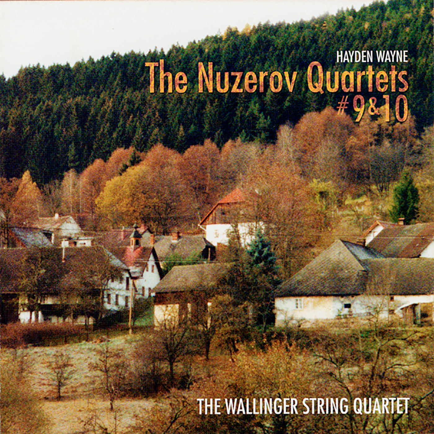 Hayden Wayne & Jason Damico - Panoply Damico & Wayne (CD)