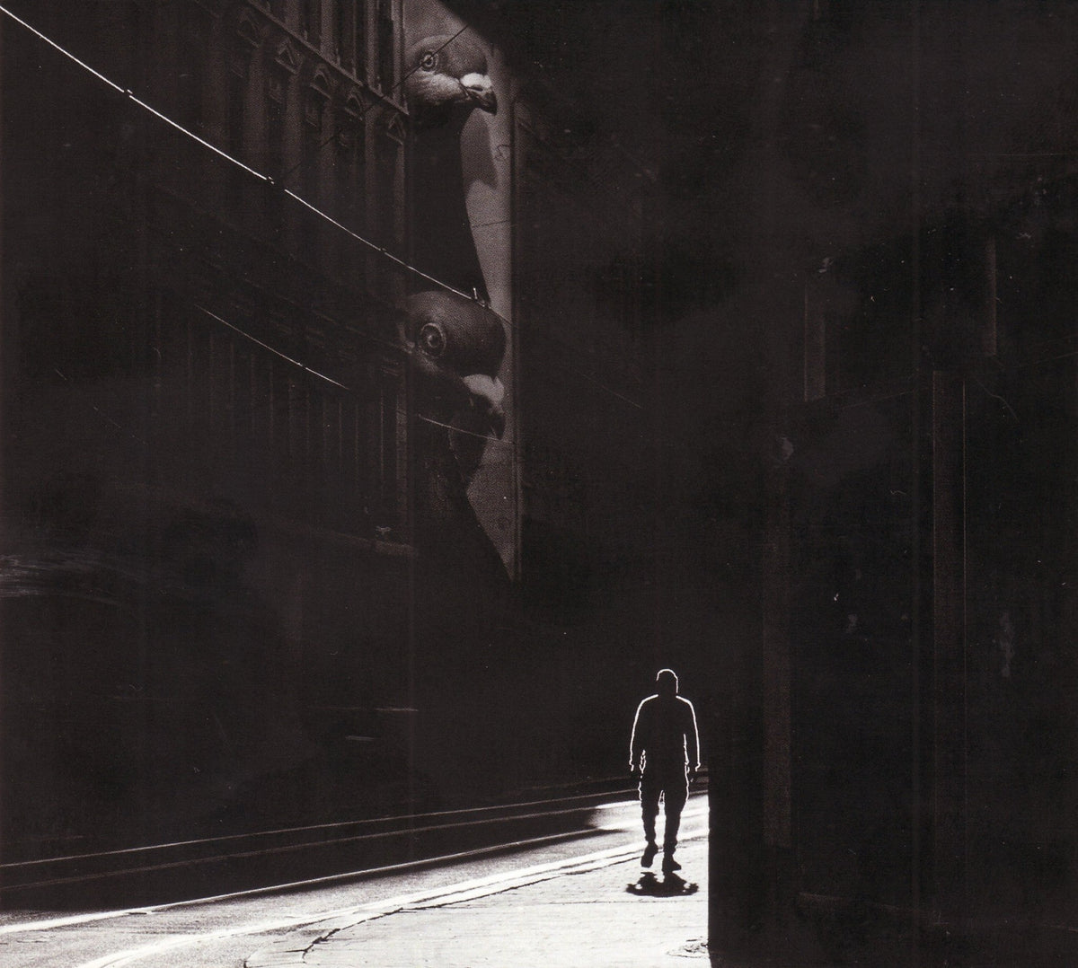 Bendik Hofseth & Jacob Young - The Maze (CD)