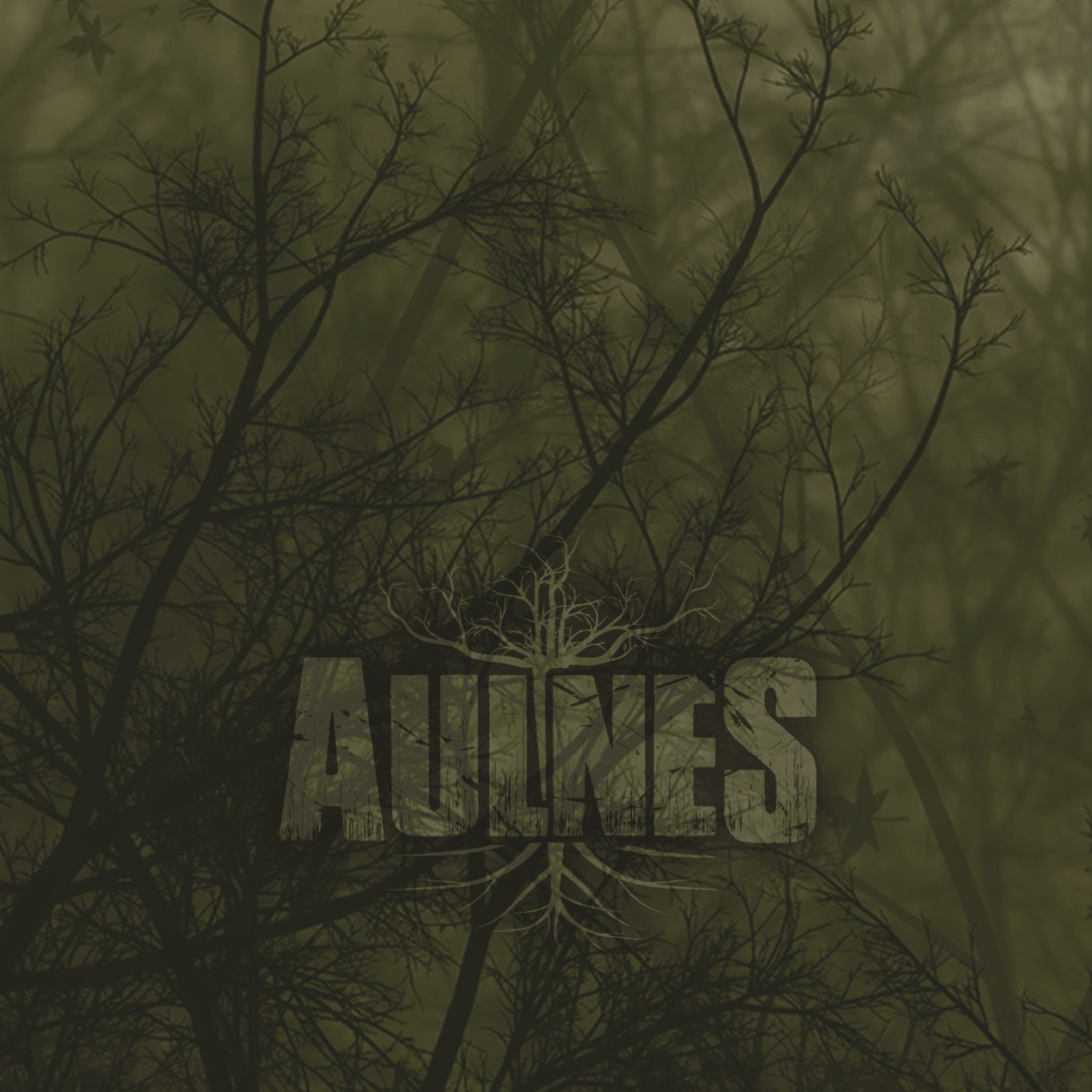Aulnes - Aulnes (CD)
