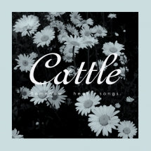 Cattle - Somehow Hear Songs (CD)