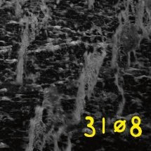 31Ø8 - 31Ø8 (YLW) (CD)
