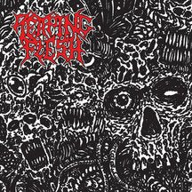 Reaping Flesh - Abyss of Existence (CD)