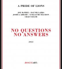 A Pride Of Lions - No Questions No Answers (CD)