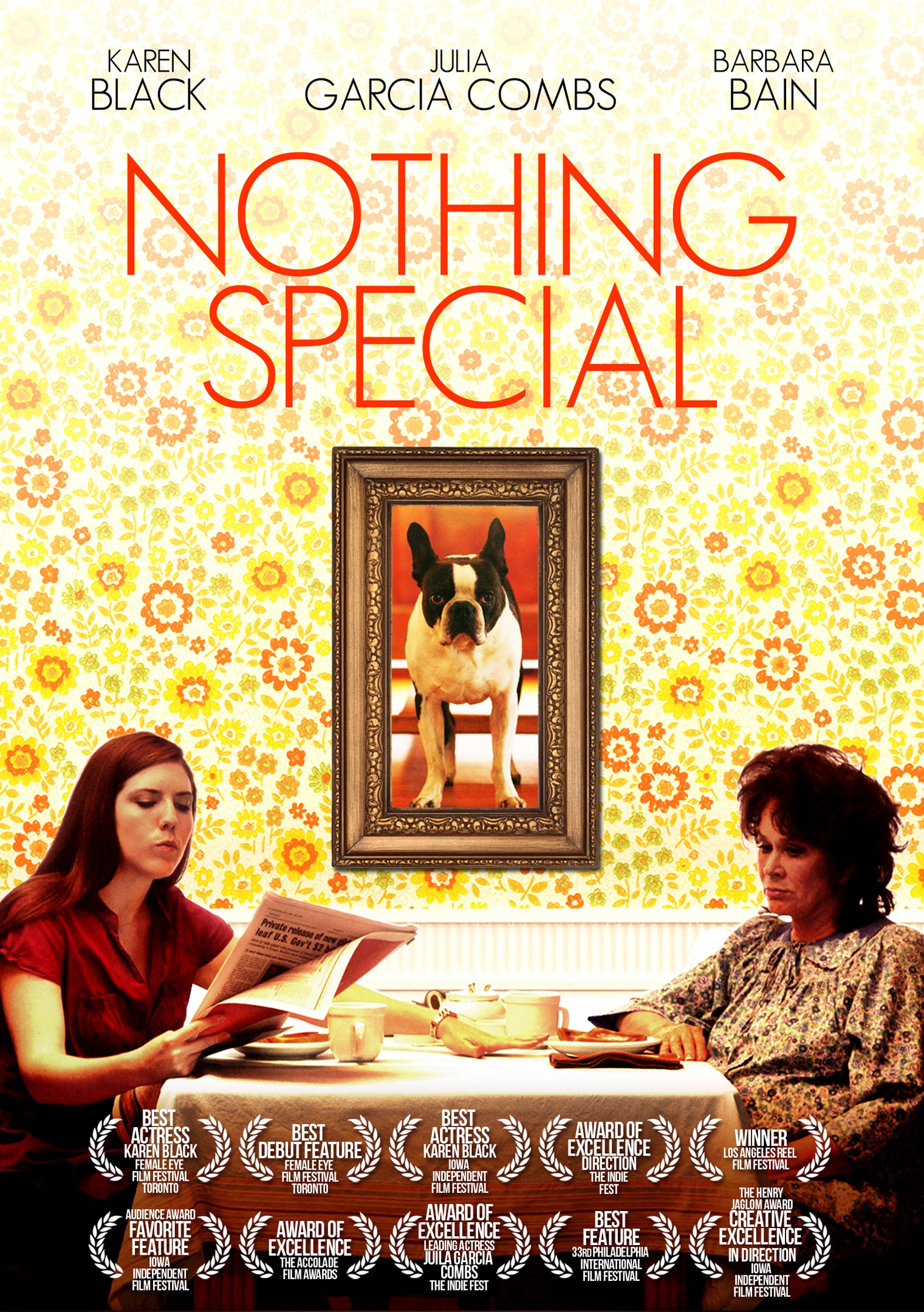 Nothing Special (DVD)