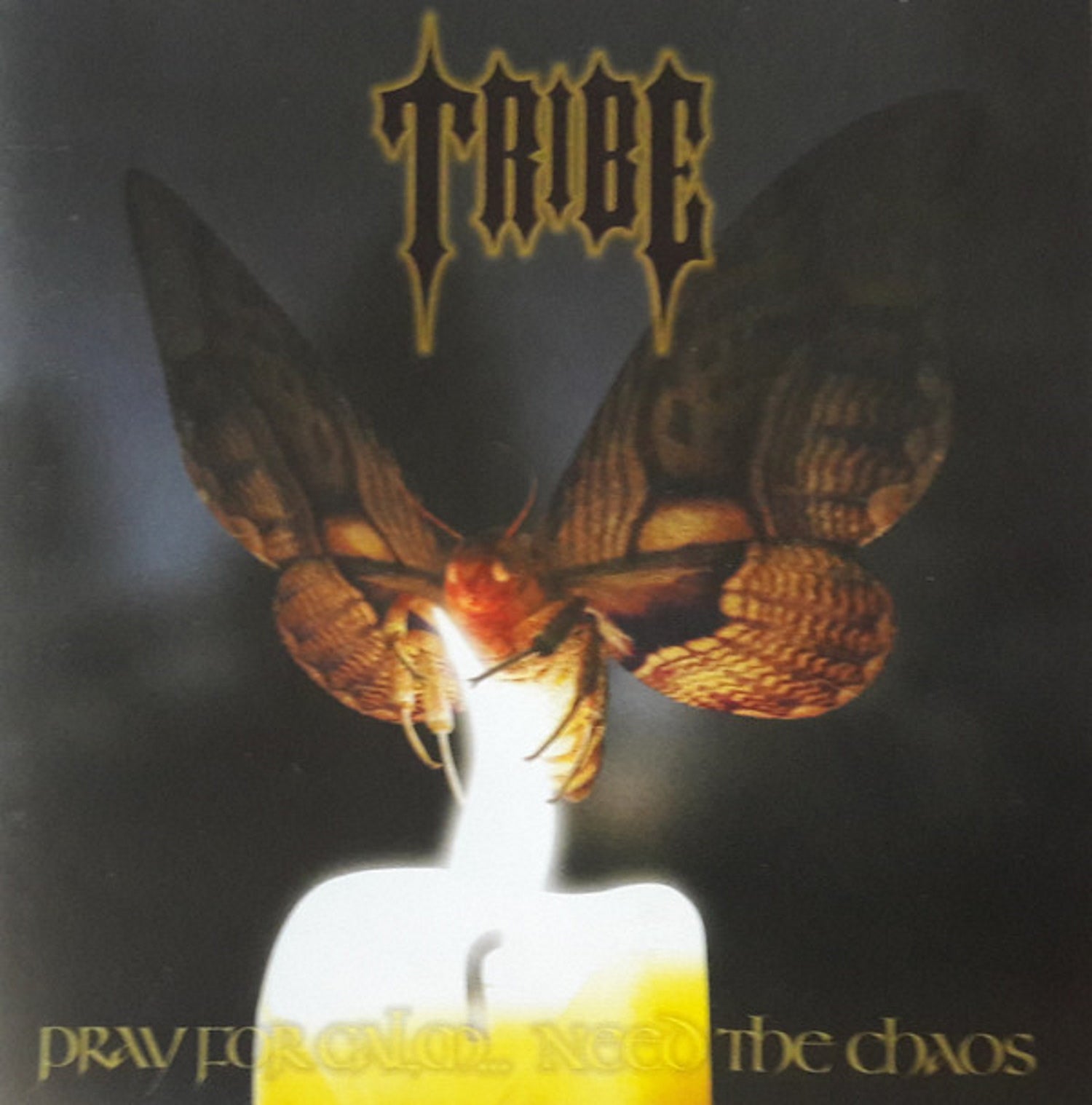Tribe - Pray For Calm, Need The Chaos (CD)
