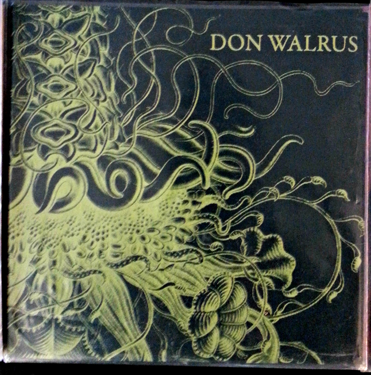 Don Walrus - Self-Titled (7 INCH)