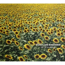 Echo & The Bunnymen - Me, I'm All Smiles (CD)