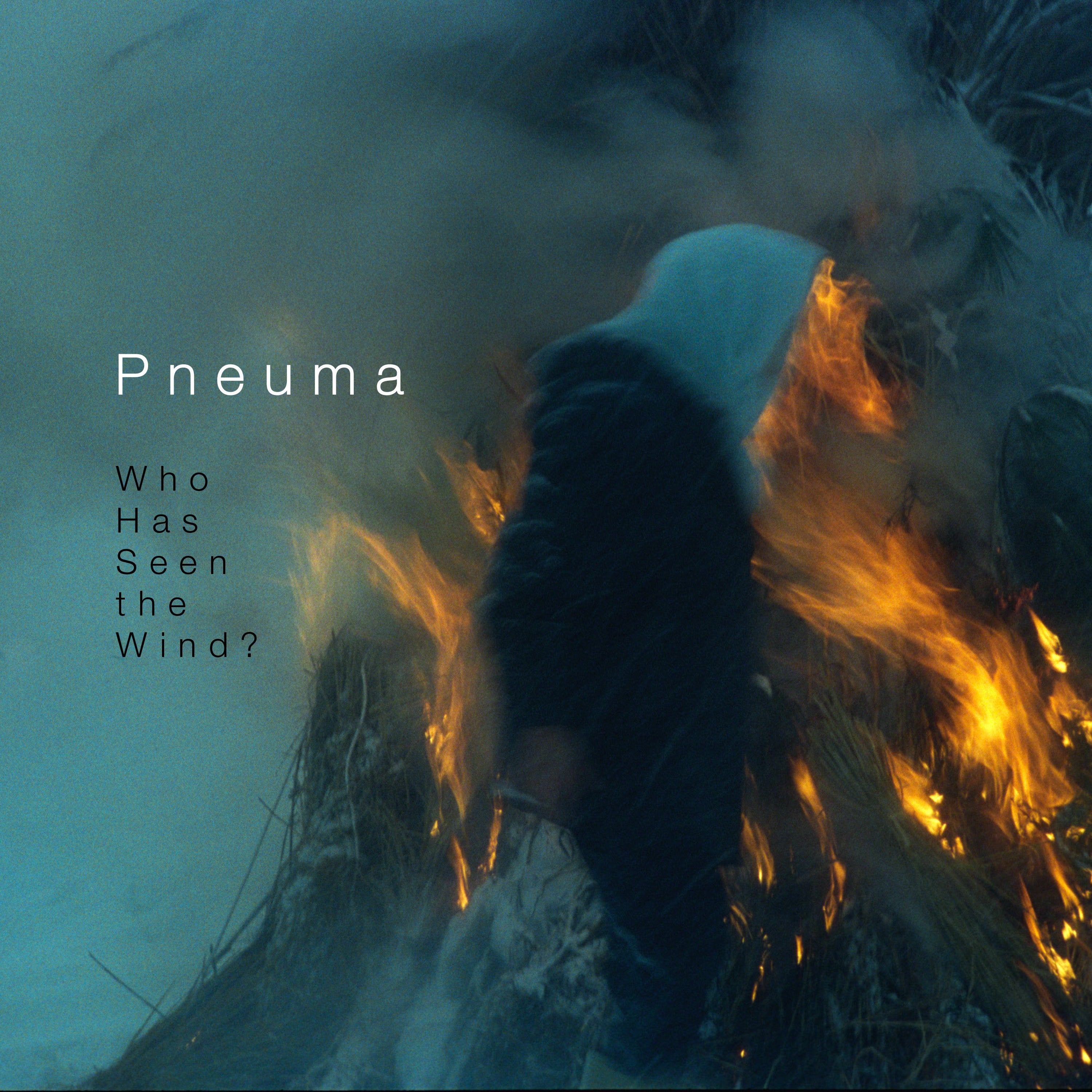 Pneuma - Who Has Seen The Wind? (CD)