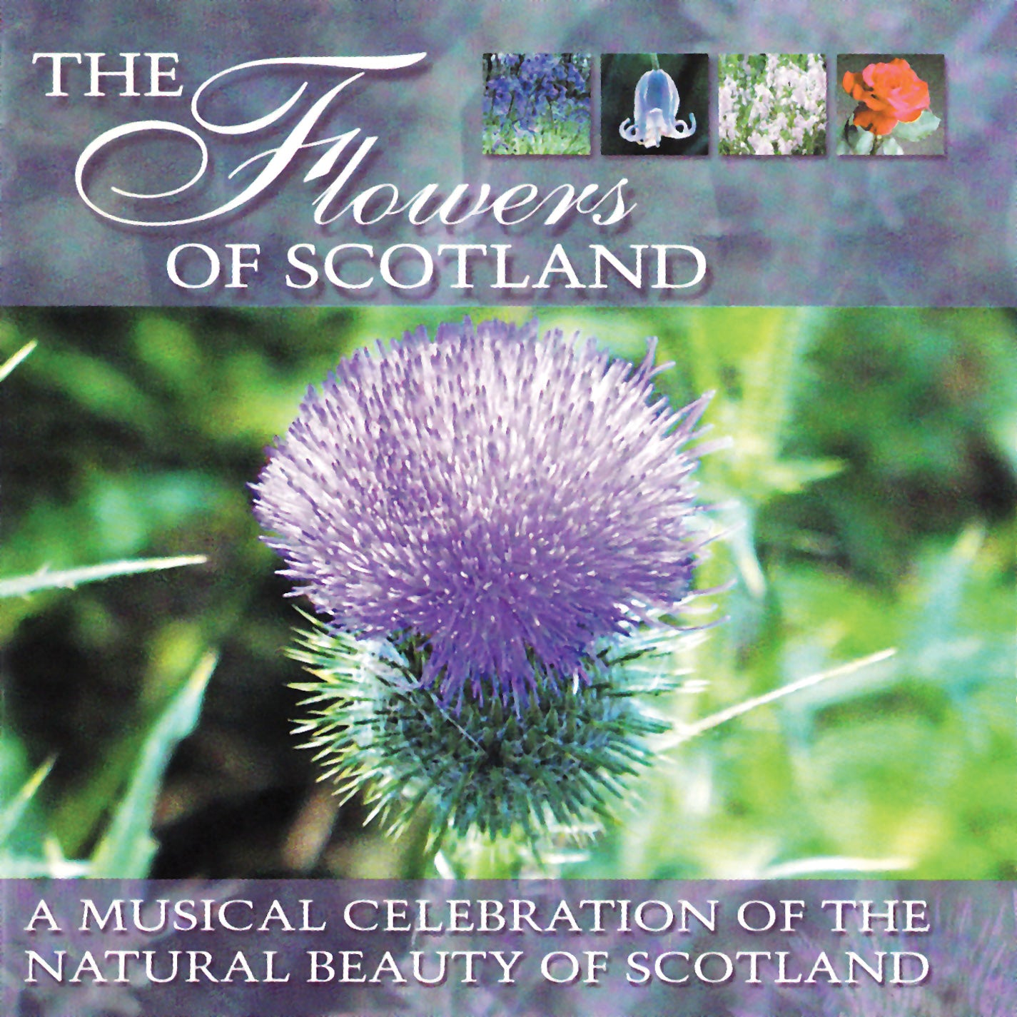 The Flowers Of Scotland (CD)