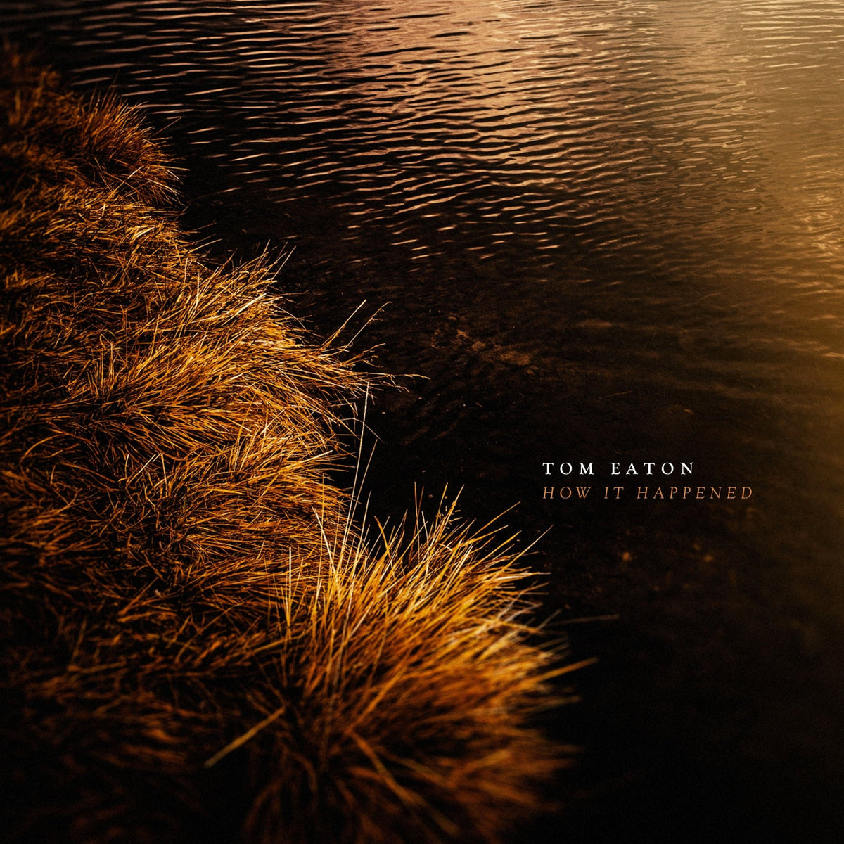 Tom Eaton - How It Happened (CD)
