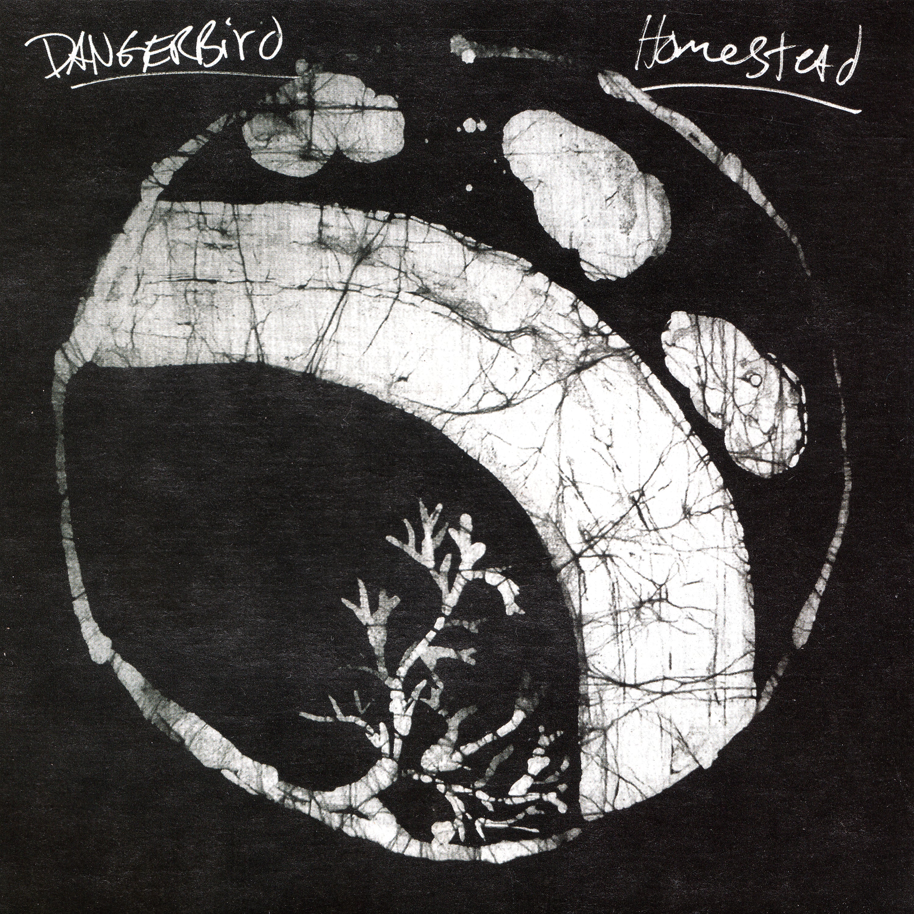 Dangerbird - Homestead (CASSETTE)