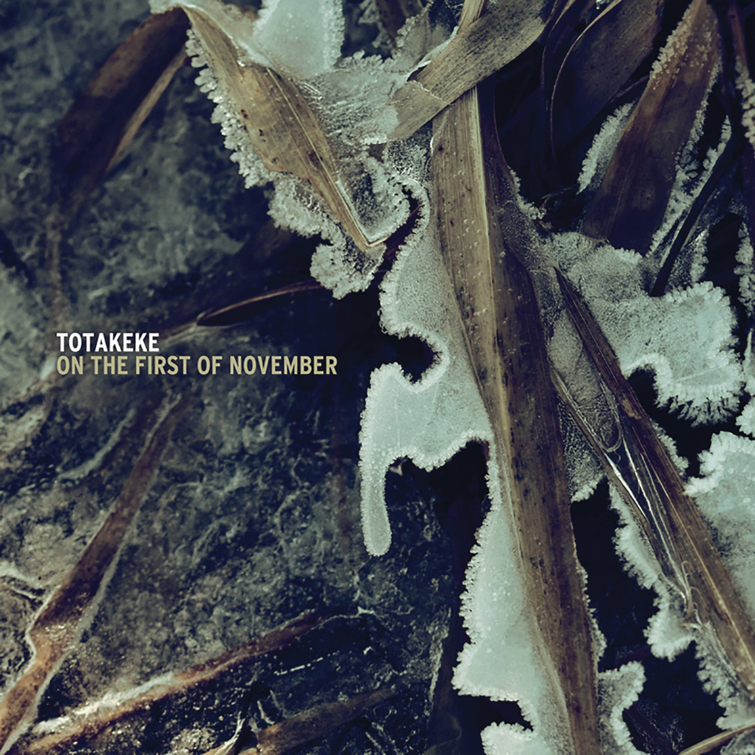 Totakeke - On the First of November (CD)