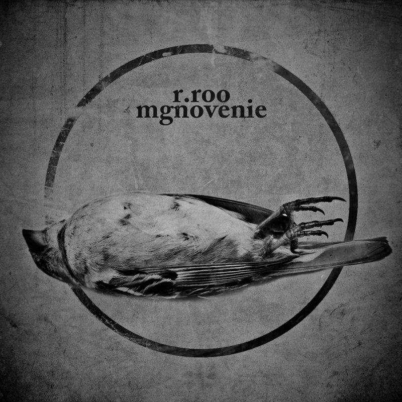 R.roo - Mgnovenie (CD)