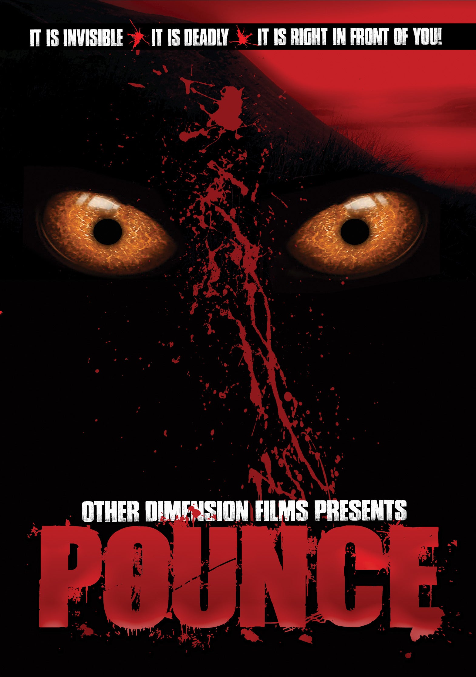 Pounce (DVD)