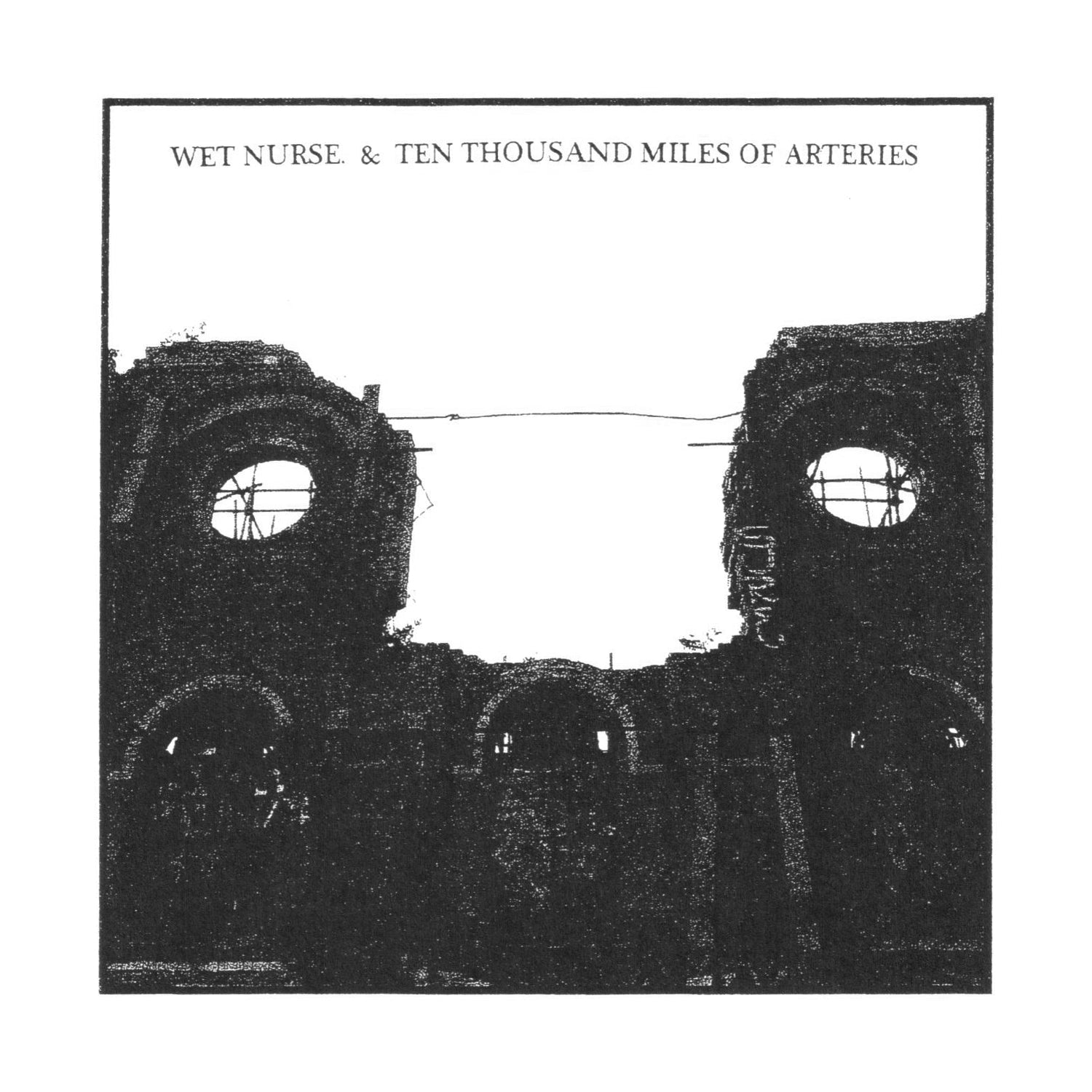 Wet Nurse. & Ten Thousand Miles of Arteries - Split CD (CD)