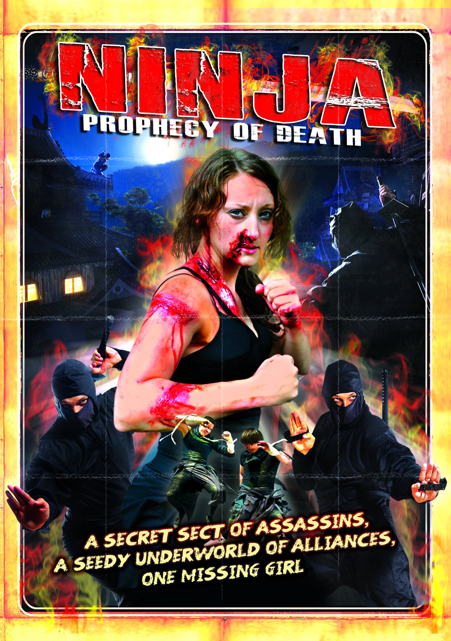 Ninja: Prophecy Of Death (DVD)