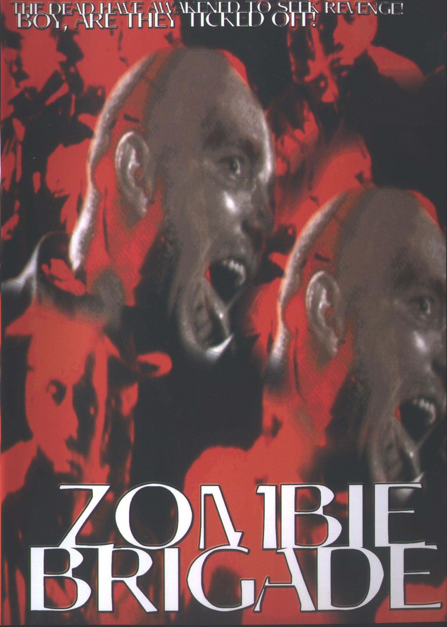Zombie Brigade (DVD)