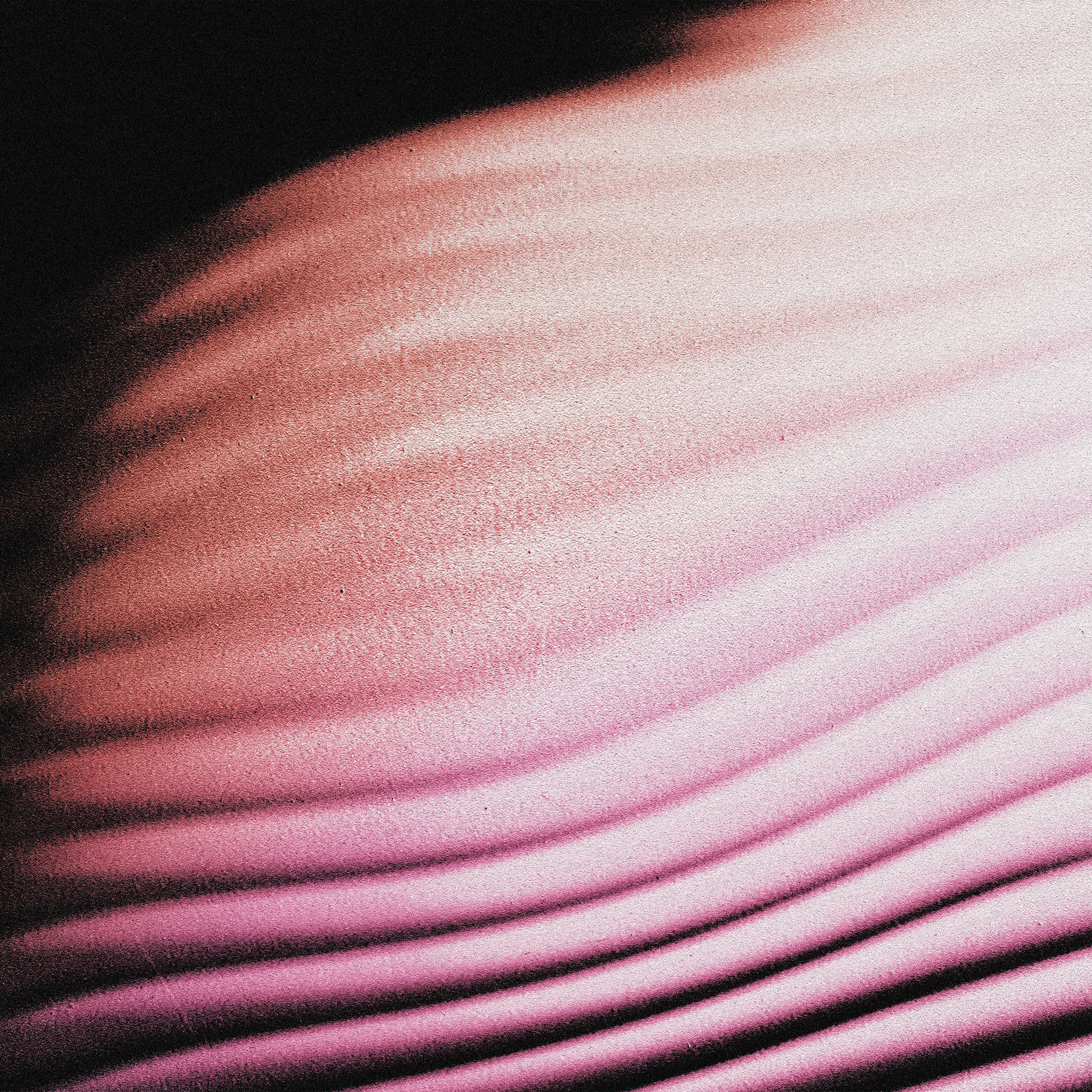 Polar - Everywhere, Everything (CD)