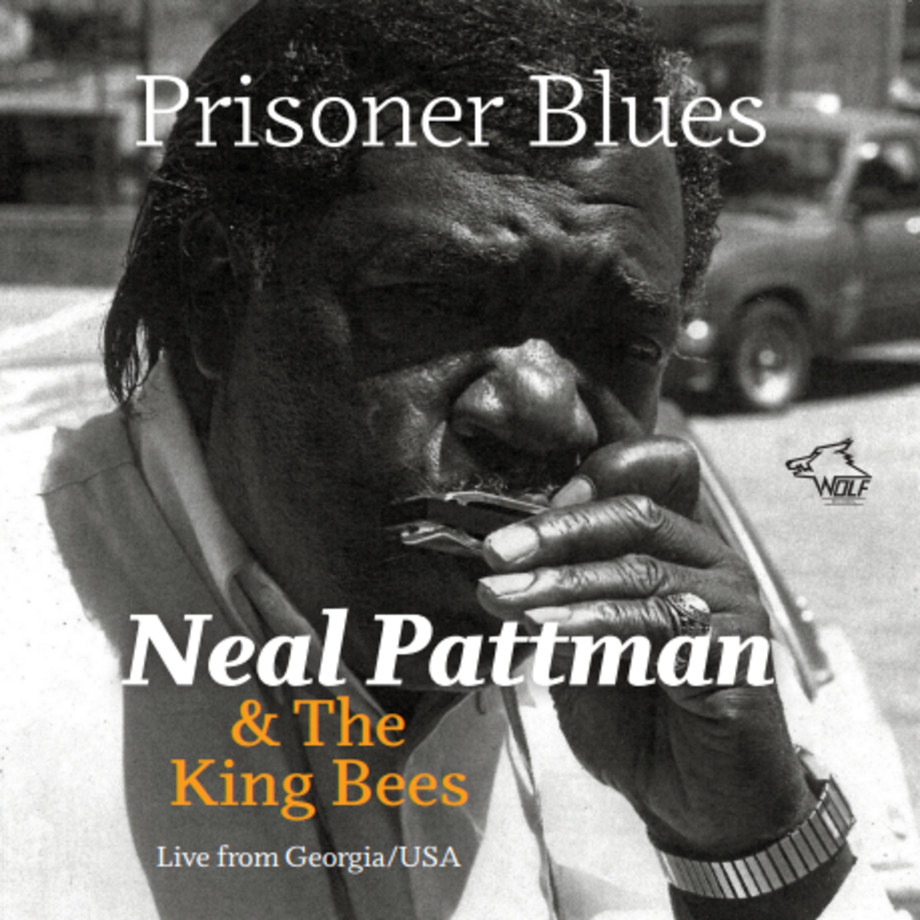 Neal Pattman & The King Bees - Prisoner Blues (CD)