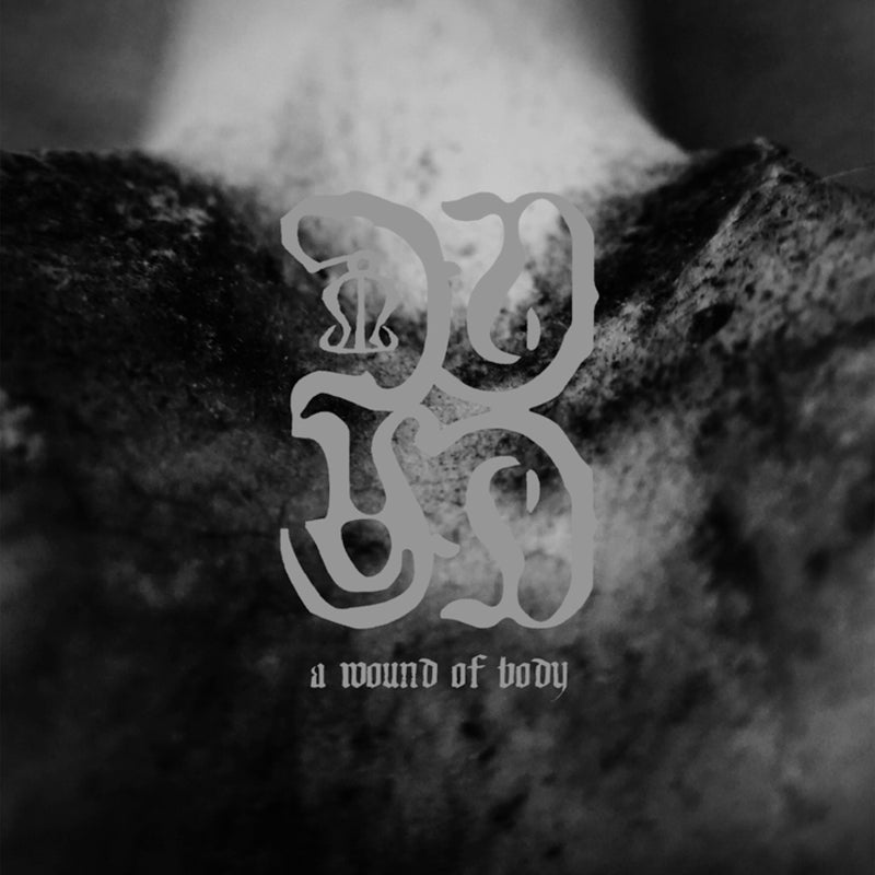 Common Eider, King Eider - A Wound Of Body (CD)