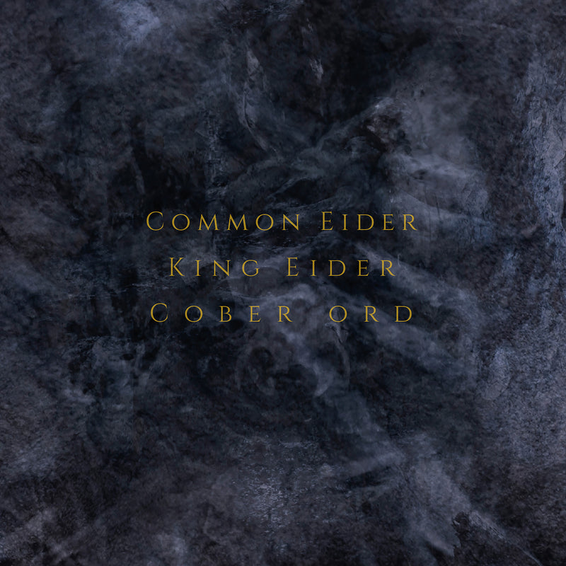 Common Eider & King Eider & Cober Ord - Palimpseste (CD)