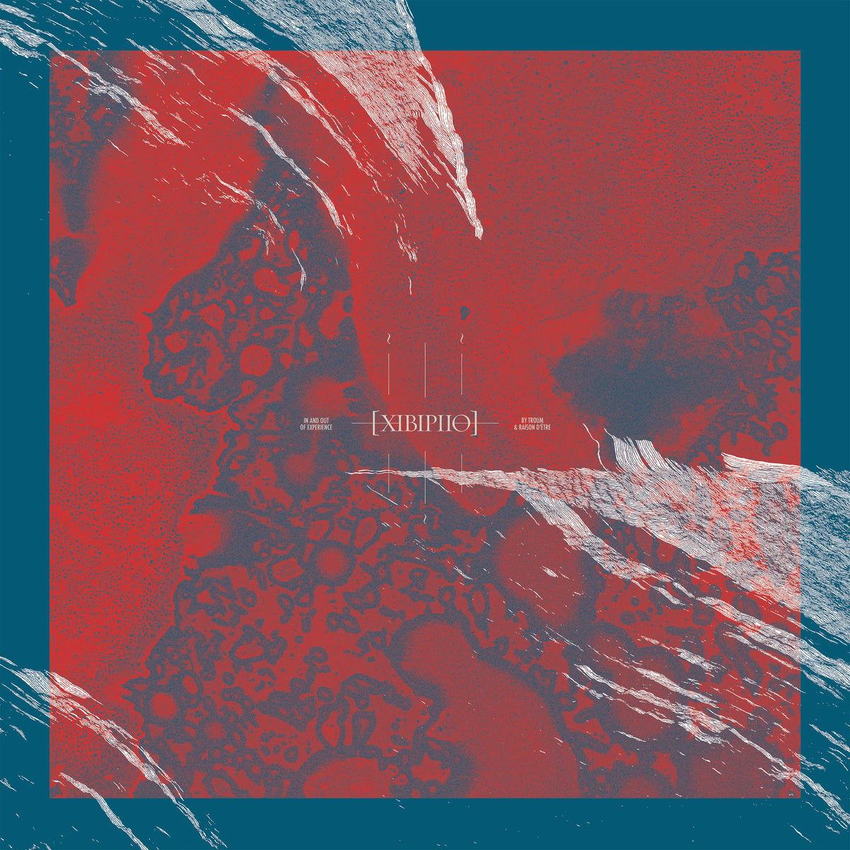 Troum & raison d'etre - Xibipiio:  In and Out of Experience (LP)