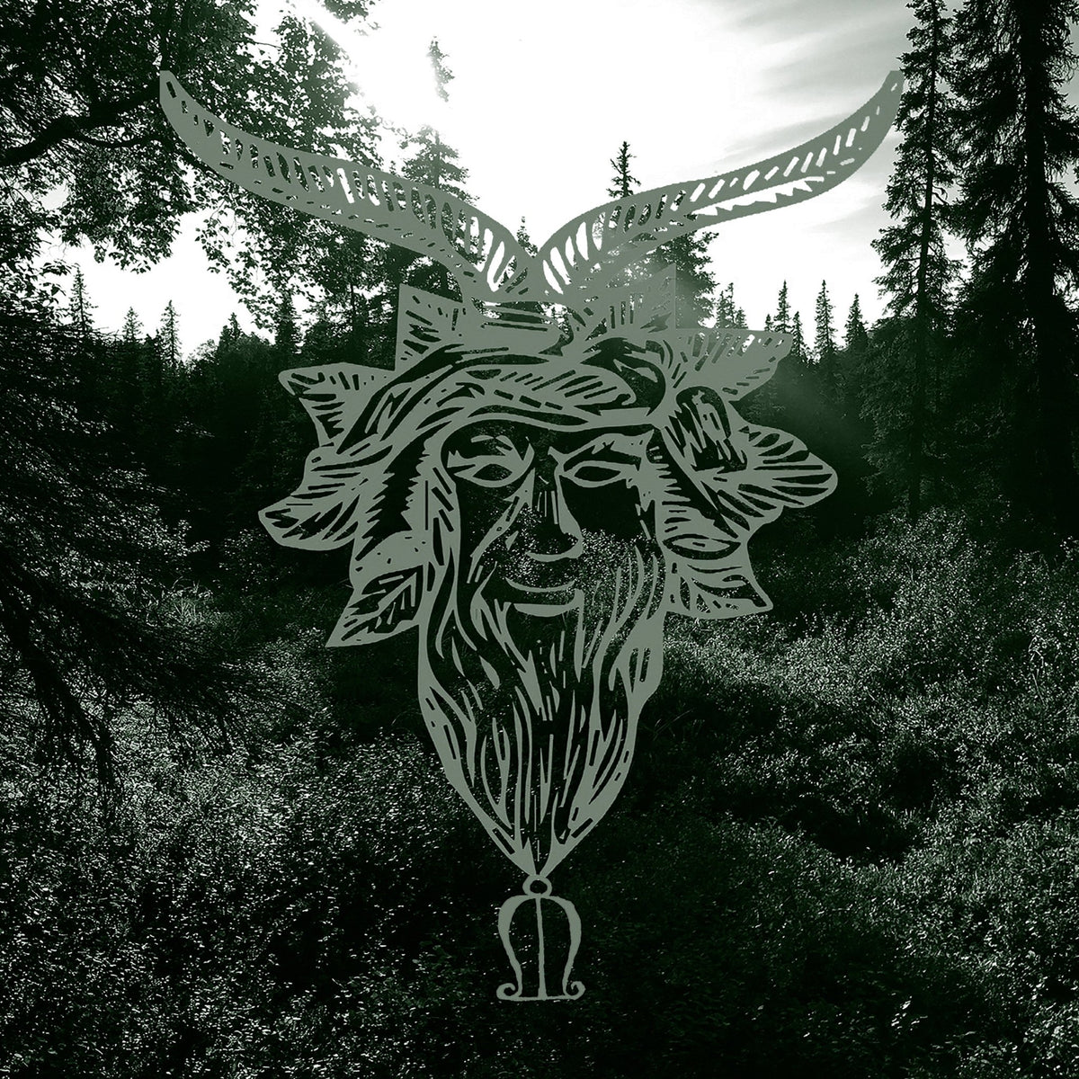 Common Eider, King Eider - Yearn (CD)