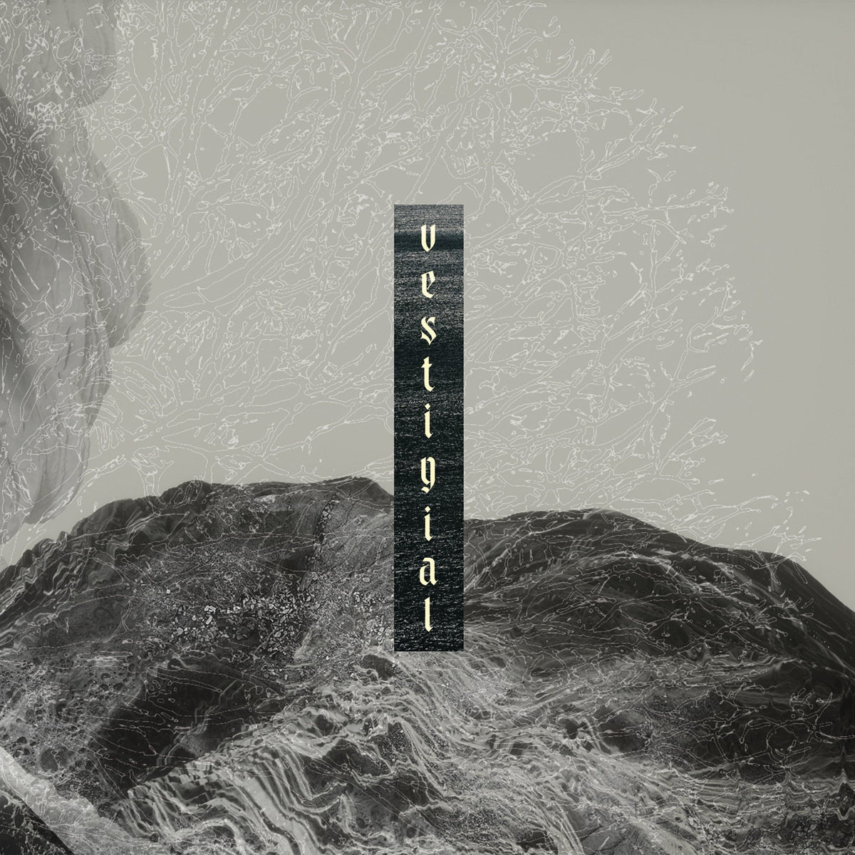 Vestigial - Descending Vastness (CD)