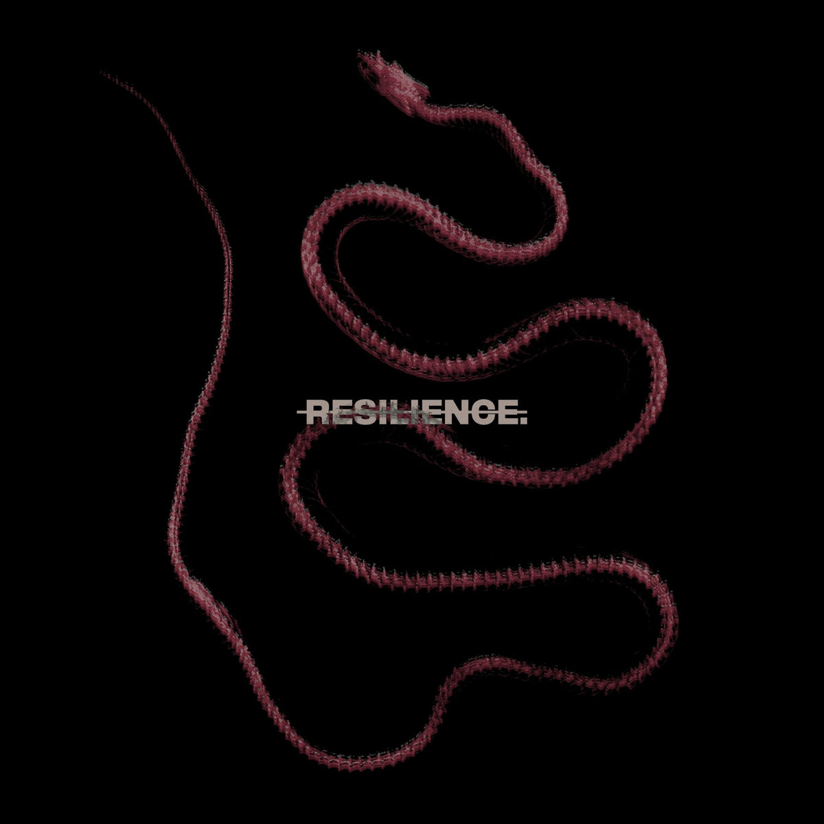 THROATCUT. - RESILIENCE. (Limited Red/Black Marbled LP) (LP)