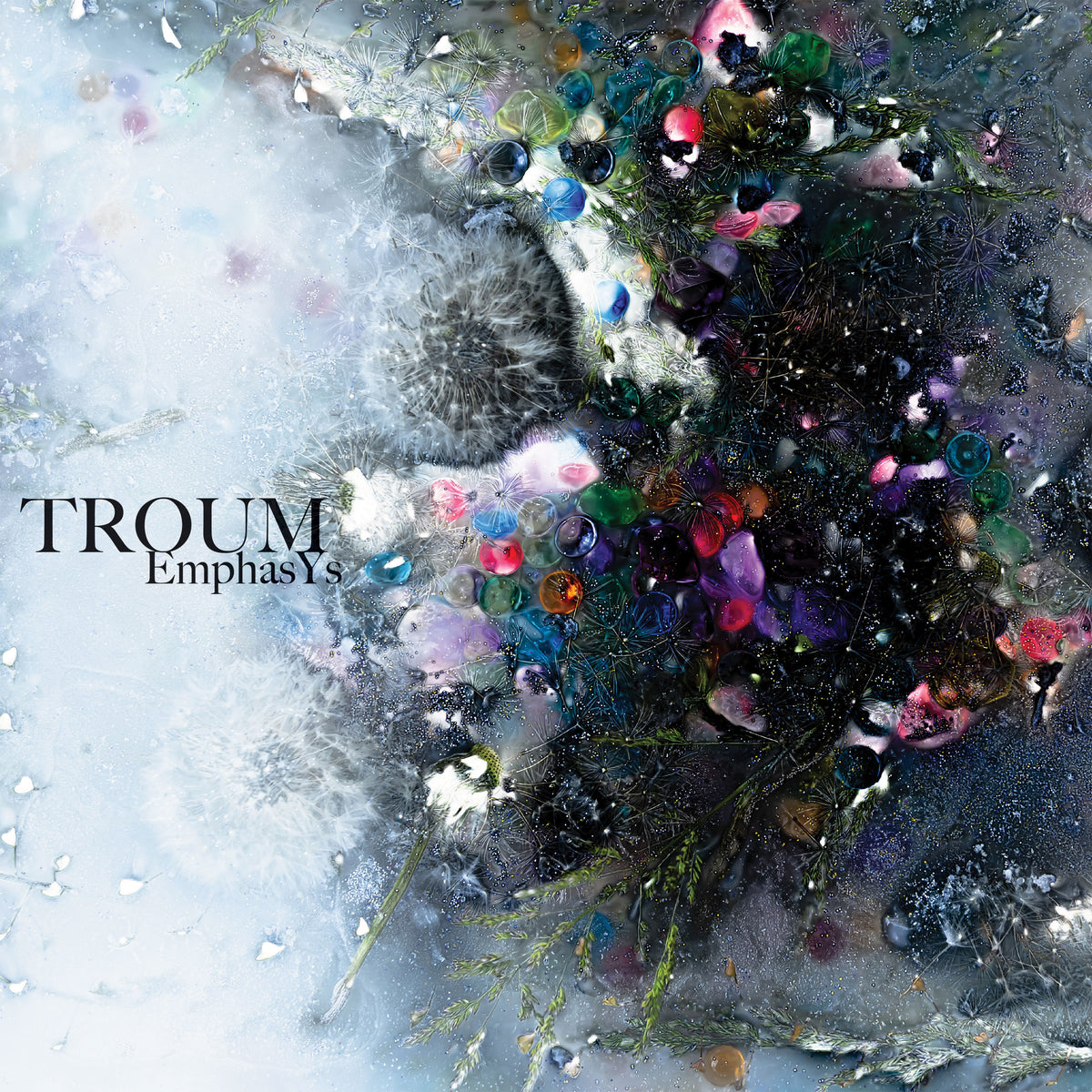 Troum - EmphasYs (LP)
