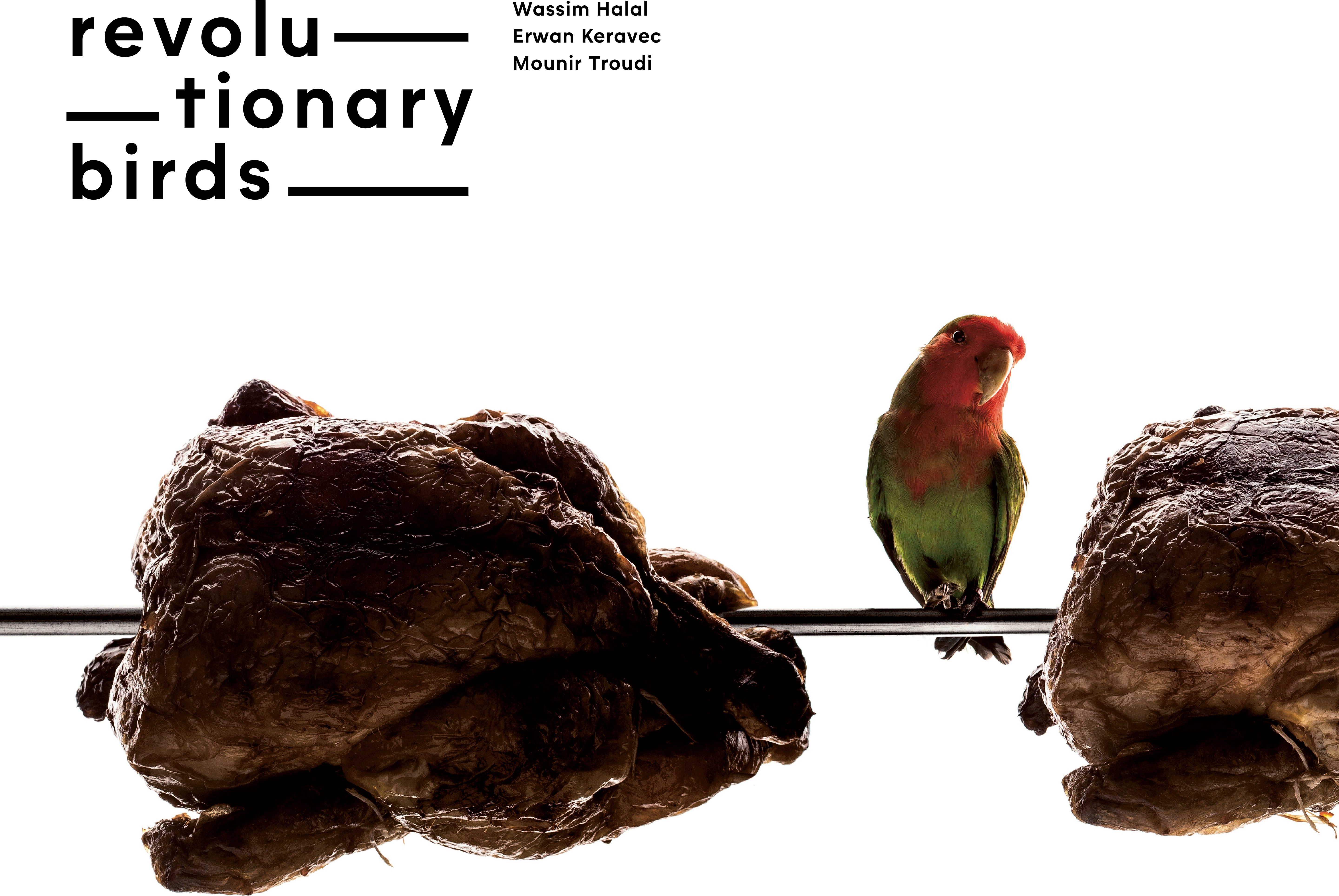 Revolutionary Birds - Revolutionary Birds (CD)