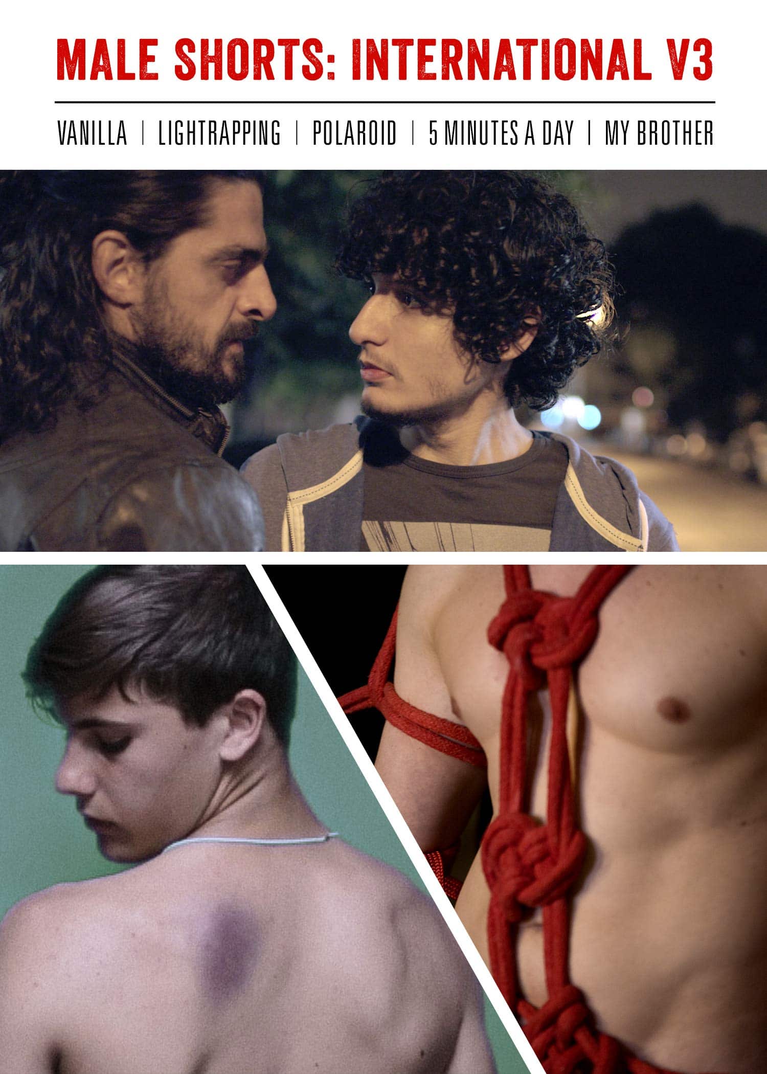 Male Shorts: International V3 (DVD)